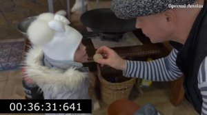 ШКМЕРУЛИ - ЧКМЕРУЛИ / Грузинский рецепт сочной курицы в соусе