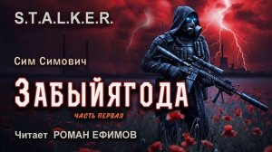 S.T.A.L.K.E.R. Забыйягода (аудиокнига). Часть 1. ФАНТАСТИКА. Сим Симович. Читает Роман Ефимов.