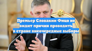 Премьер Словакии Фицо не видит причин проводить в стране внеочередные выборы