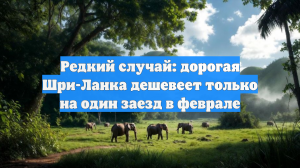Редкий случай: дорогая Шри-Ланка дешевеет только на один заезд в феврале