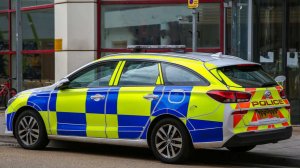 Сталкер угрожал похитить девочку, расчленить ее и отправить куски тела матери