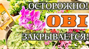 Гипермаркет OBI РЯЗАНЬ. ОБЗОР Растений. Что Интересного?