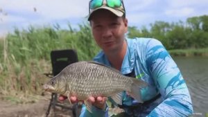 Карась на Pop Up из под камыша, рыбалка с кормушкой флэт фидер