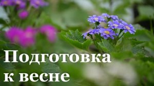 В Луганских теплицах 200 тысяч растений готовят к высадке