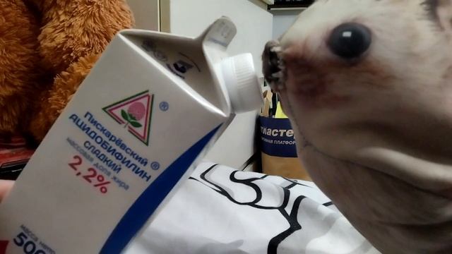 меня вштырило