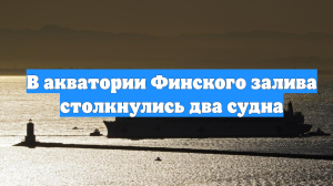 В акватории Финского залива столкнулись два судна