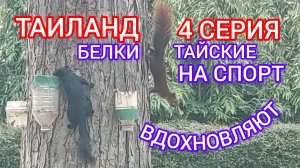 ТАИЛАНД. 4 СЕРИЯ.
