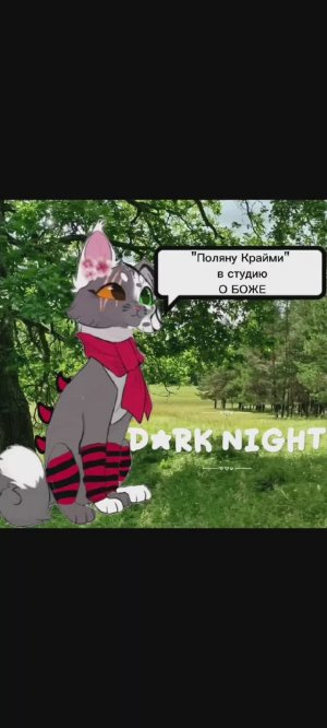 У-у-у, мне конец...|Коты Воители| Квадроберы выходят вперед? |Темная Ночь КВ|