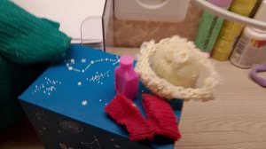 идём с верочкой в магазин, покупать ей одежду и шампунь 🩷