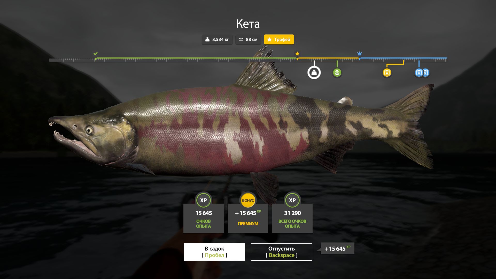 2026-02-06 20-40-37 Русская рыбалка 4 р . Яма смотреть онлайн