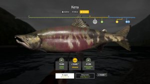 2026-02-06 20-40-37 Русская рыбалка 4 р . Яма