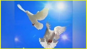 07-02-2026 " Дом на горе!" Ирина Круг.