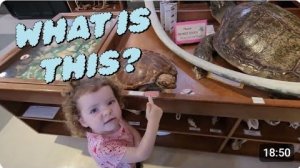 Канадская семья в НН.. Learning on the Road: Big Family Travels & Nature Center Fun