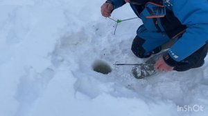 Продолжаем поимки