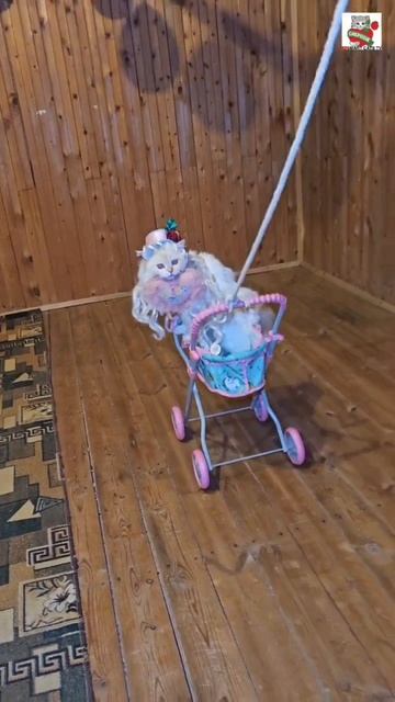 Настюня со своим Любимым Пикселюшей хочет идти до конца 😻❤️😽 Настюня со своим Любимым Пикселюшей хочет идти до конца 😻❤️😽