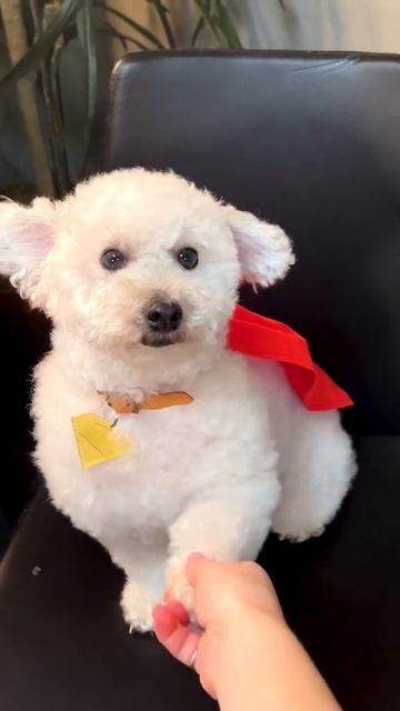 Милота смотреть онлайн