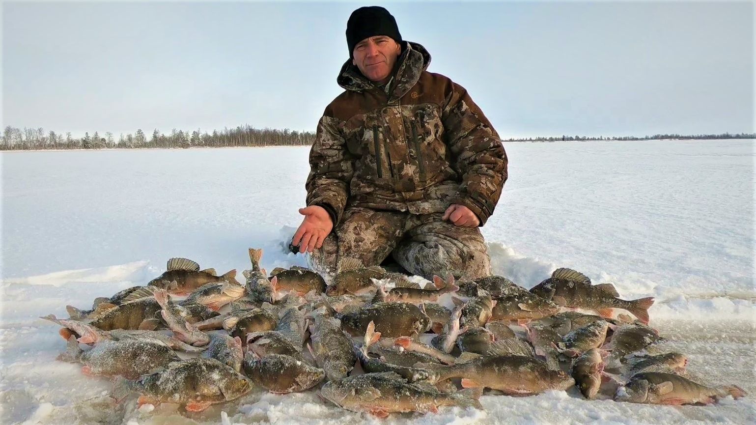 ТАКИХ РЫБАЛОК МНОГО НЕ БЫВАЕТ)! ГОРБАТЫЕ ОКУНИ КАК НА ПОДБОР, ЛУЧШИЙ РАЗМЕР! смотреть онлайн