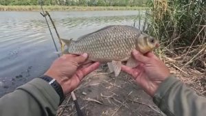 Таких бонусов давно не было, рыбалка осенью 2025