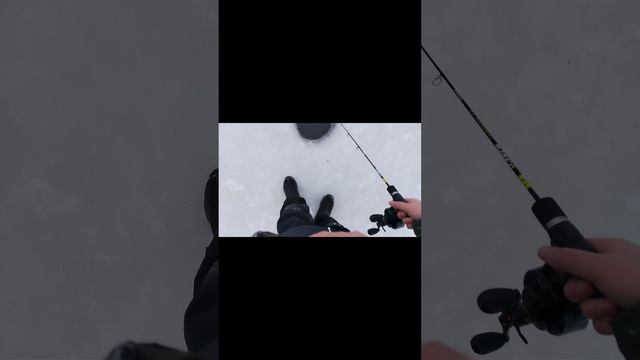 Рыбалка на форель!!❄️ Рыбалка на форель!!❄️