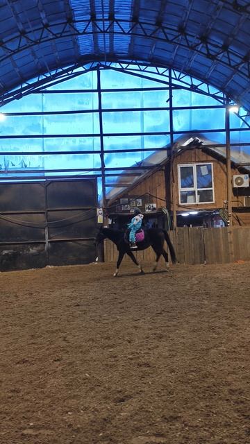 Арина и Флейта, рысь без стремян по стенке в манеже.