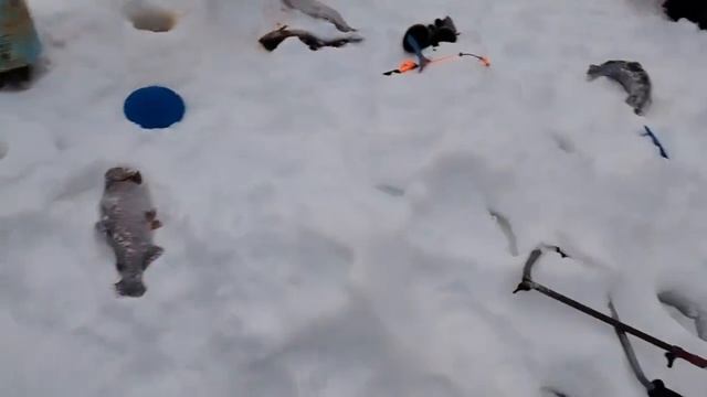 07.02.26 г. РК Волна. смотреть онлайн