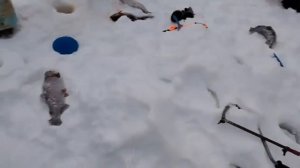 07.02.26 г. РК Волна.