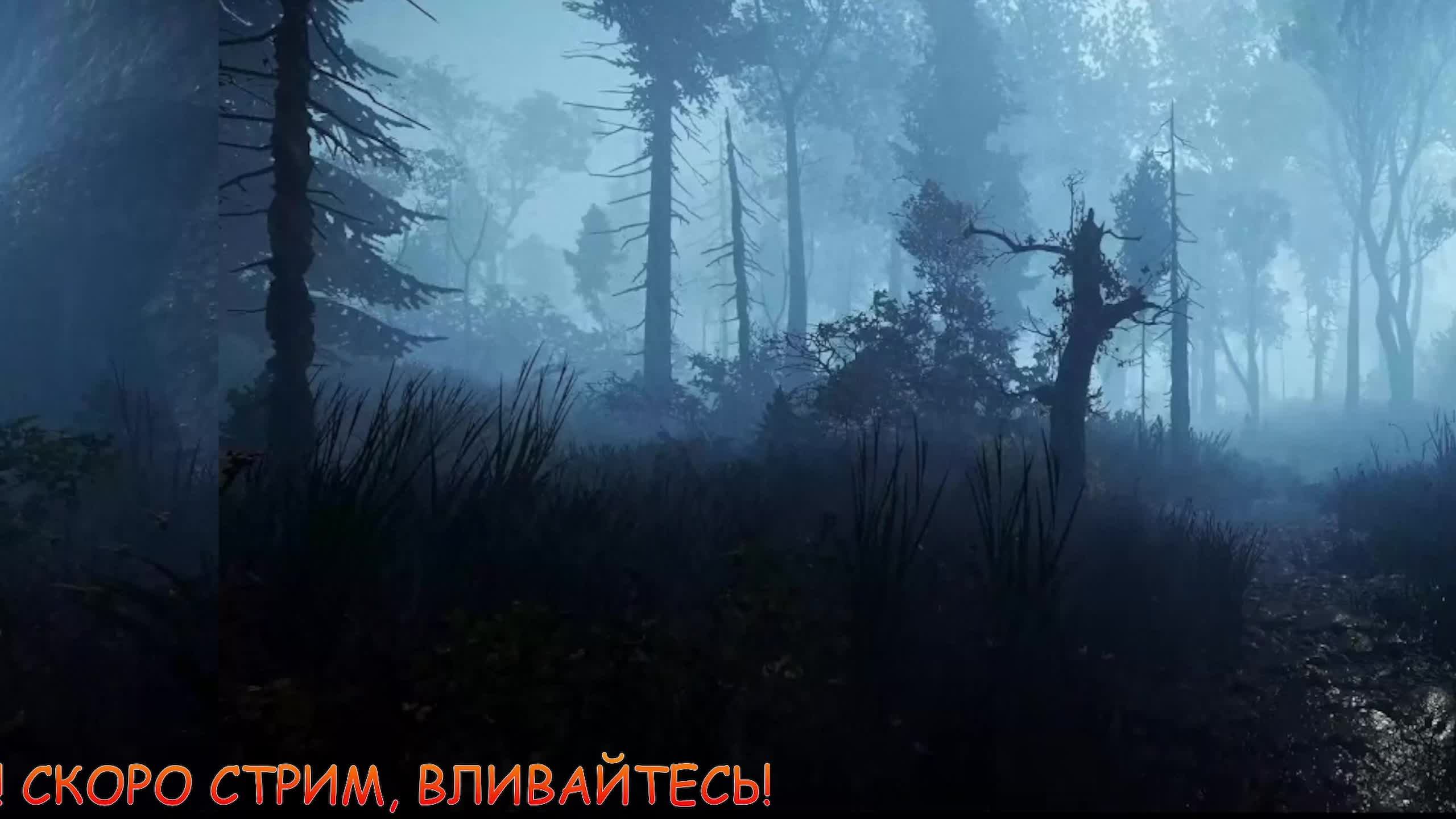 ТЕСТ 3 смотреть онлайн