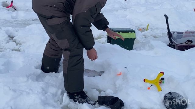 Моменты поимок