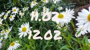 Лунный Посевной календарь садовода огородника с9.02-15.02.26г.