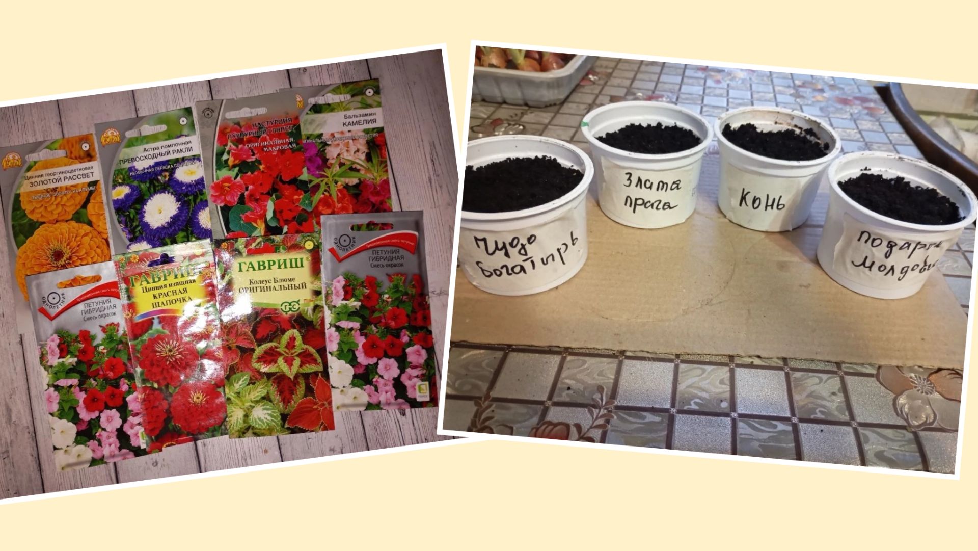 Сезон открыт. Сею перец. Подготавливаю цветы смотреть онлайн