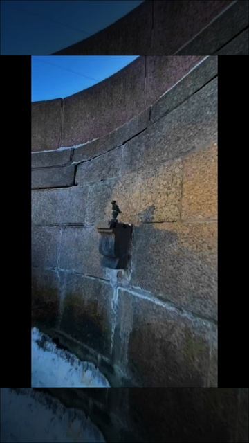 Вы когда-нибудь видели Чижика ТАК близко?