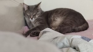 Новости канала Ваня, Арина и алмазная картина.2 часть