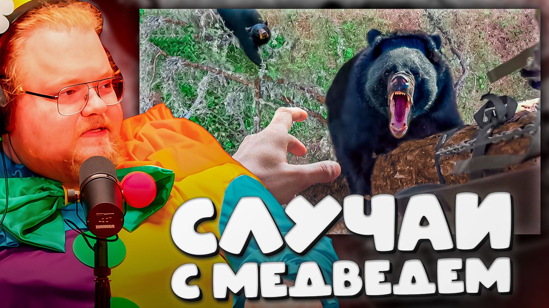 T2x2 СМОТРИТ ► Случаи с Медведем, Которые Лучше не Смотреть Одному 4K смотреть онлайн