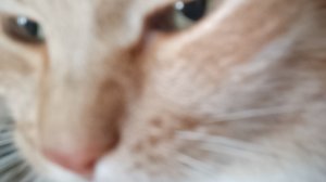 Всем приветик)))