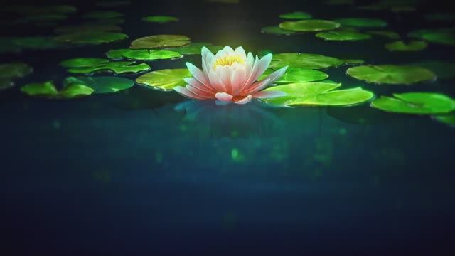 Шинобу кочо против Доума смотреть онлайн