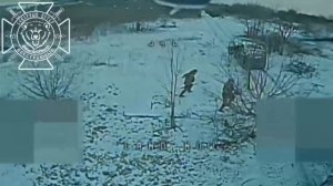 Кто не спрятался, я не виноват!