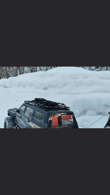 зимнее трофи