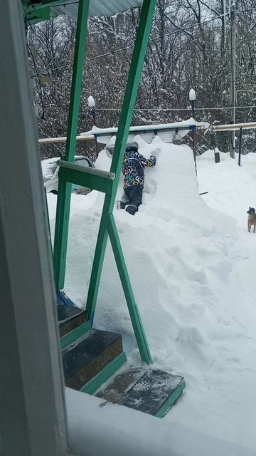 Приехал Внучок, прогулялись