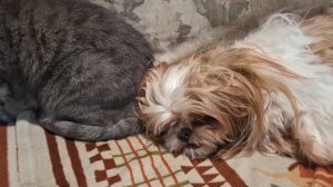 Магнит🧲 😘