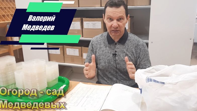 Начинаю огородный сезон с четкого плана что, где и когда я буду сажать смотреть онлайн