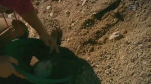 Золотая лихорадка 7 сезон 17 серия (реалити-шоу, 2016)