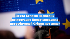 Посол Беляев: на сделку по поставке Киеву шведских истребителей Gripen нет денег