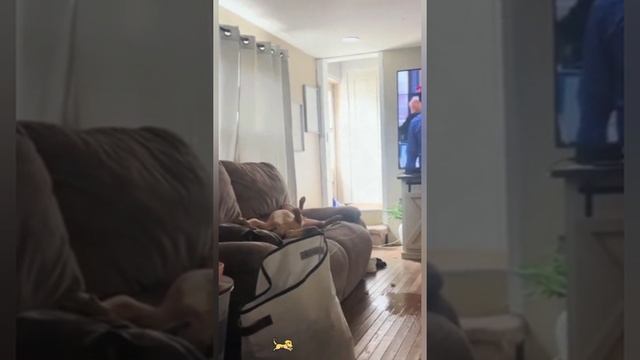 YouCut_20260207_054312847.mp4