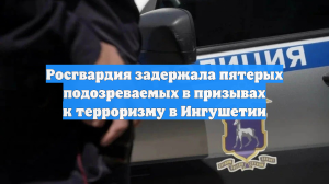 Росгвардия задержала пятерых подозреваемых в призывах к терроризму в Ингушетии