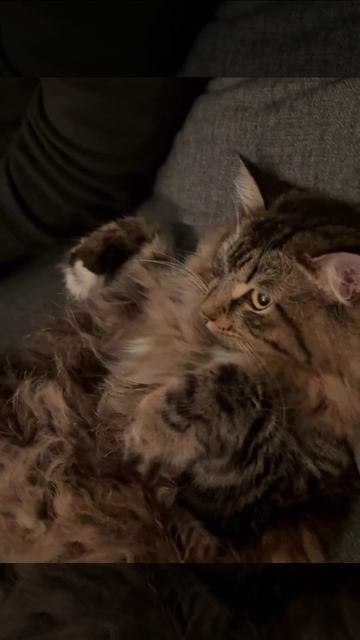 Отдыхаем☺️