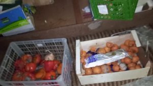 Рубрика "Новости с помойки"