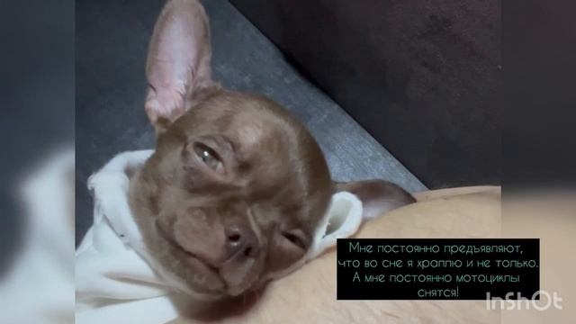 Мне постоянно предъявляют … Мне постоянно предъявляют …