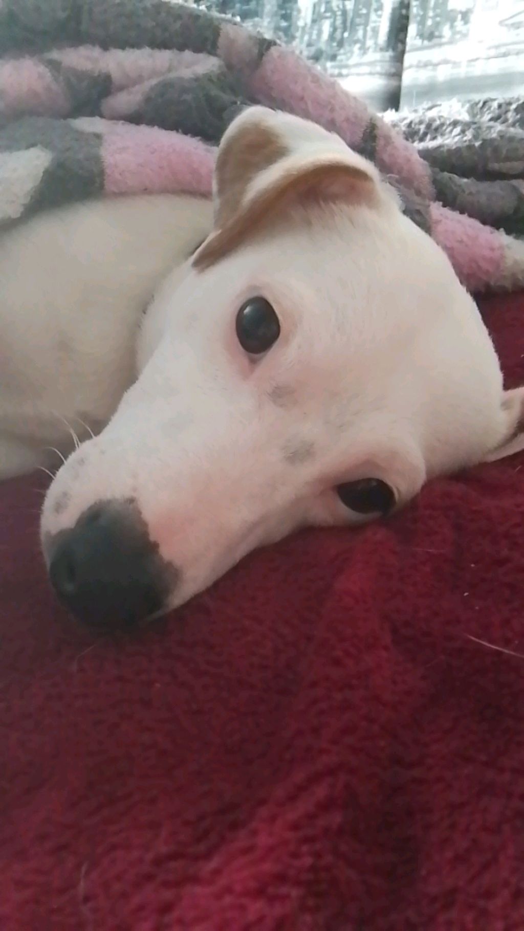 рич смотреть онлайн