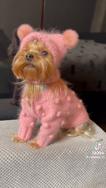 Какая красота!!!👍😂👍😂👍