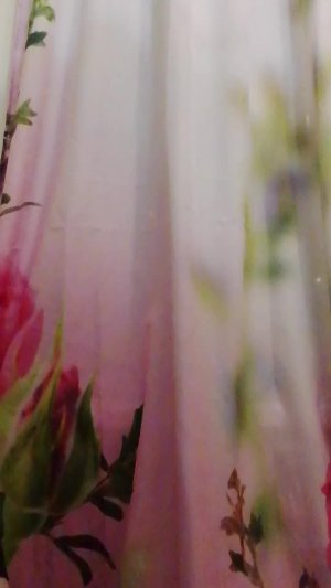 новости главное